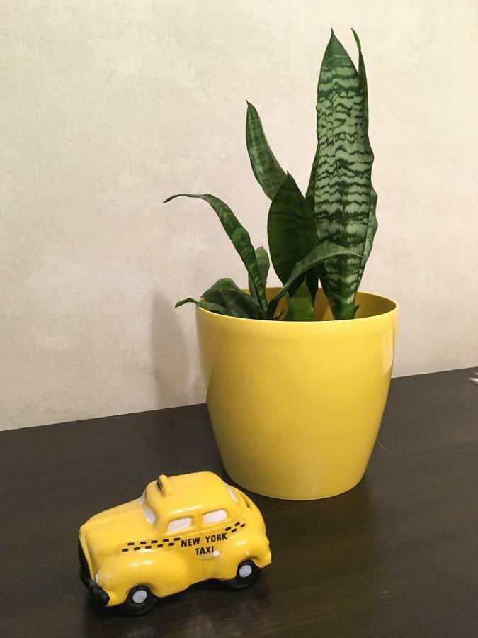 Sunflower Apartment Near Kiev Airport & Railway Station & Center City! Zewnętrze zdjęcie